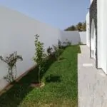 Villa Diamant — Jardin, Allée latérale, gazon et arbustes | Ethic Village Djerba