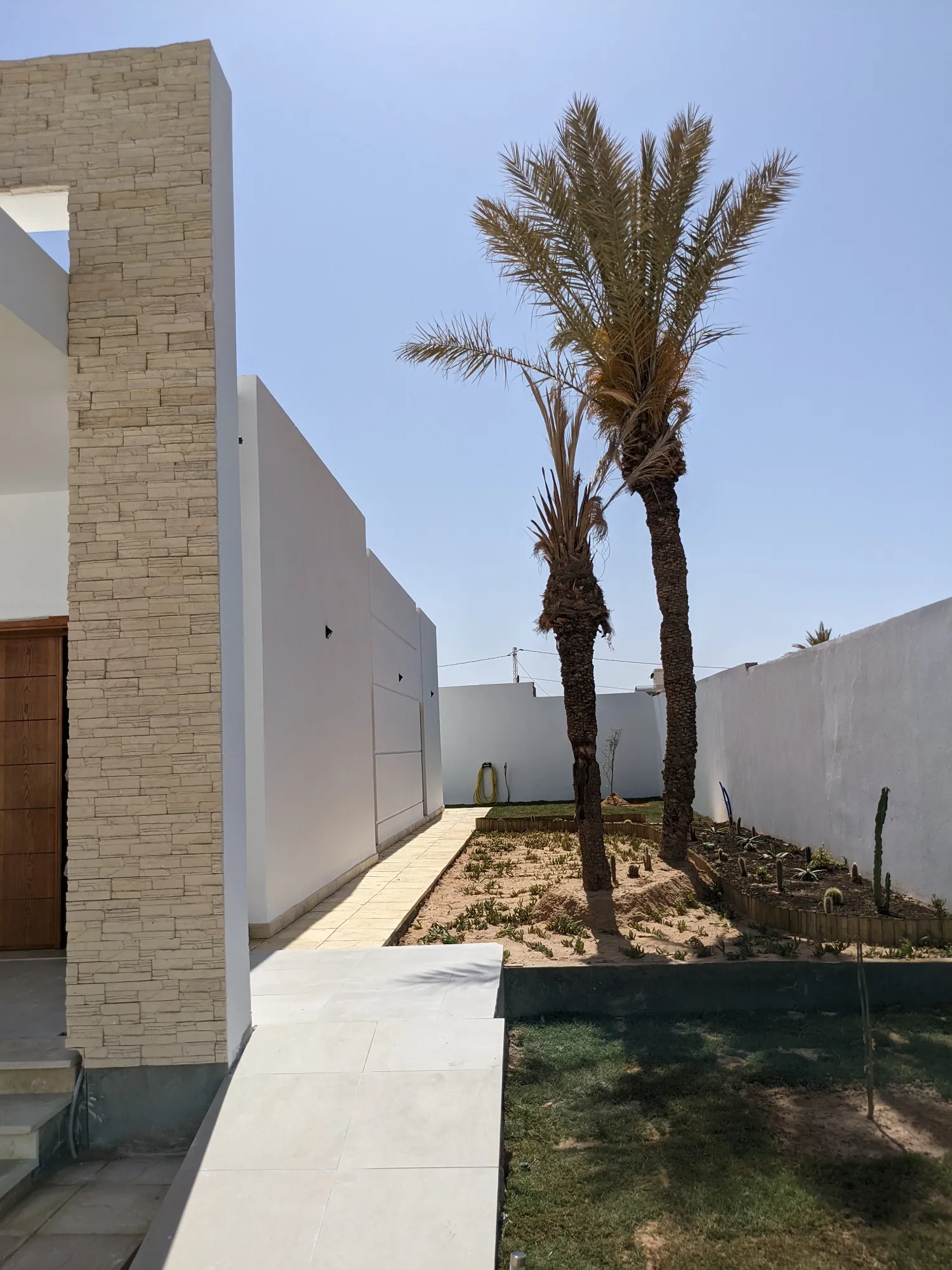 Allée latérale de la villa Saphir à Djerba, murs blancs et palmiers dattiers