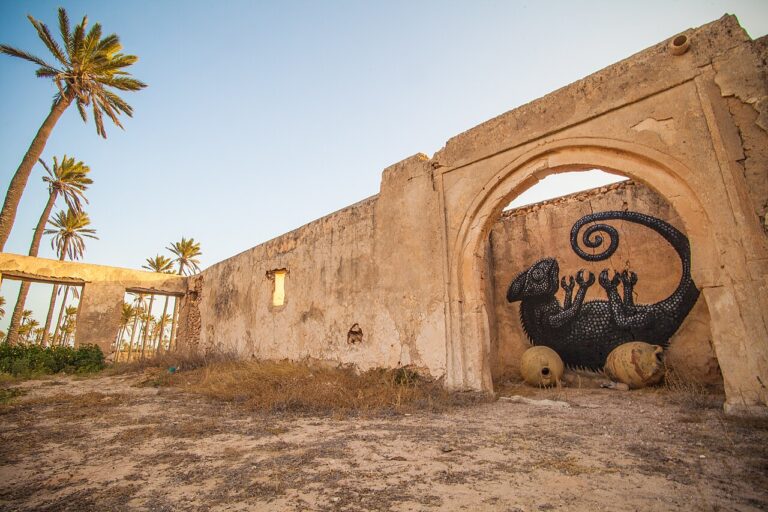 Djerbahood — Fresque murale sur mur ancien | Djerba street art