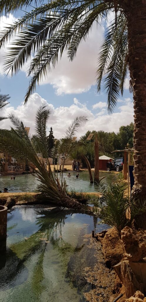 Oasis de Ksar Ghilane — Excursion Sahara depuis Djerba