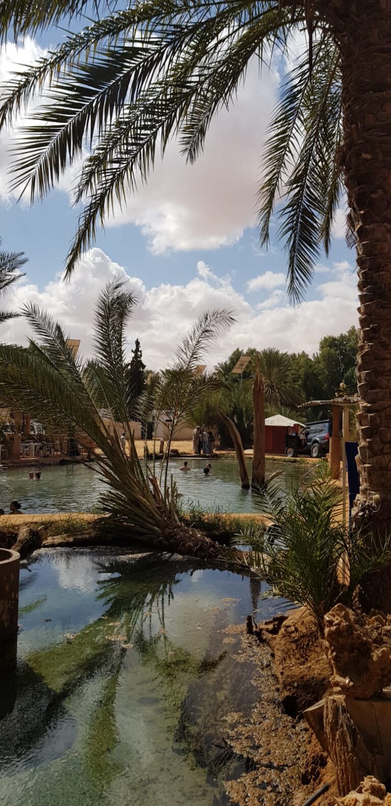 Oasis de Ksar Ghilane — Excursion Sahara depuis Djerba