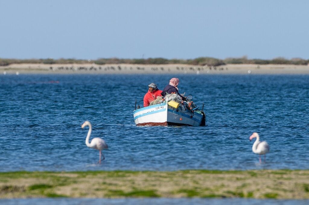 Pêcheurs et flamants roses — Lagune | Djerba