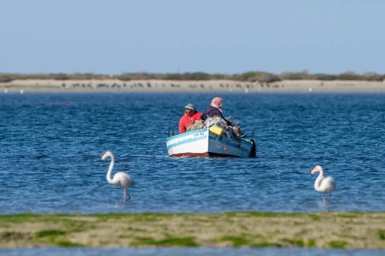 Pêcheurs et flamants roses — Lagune | Djerba