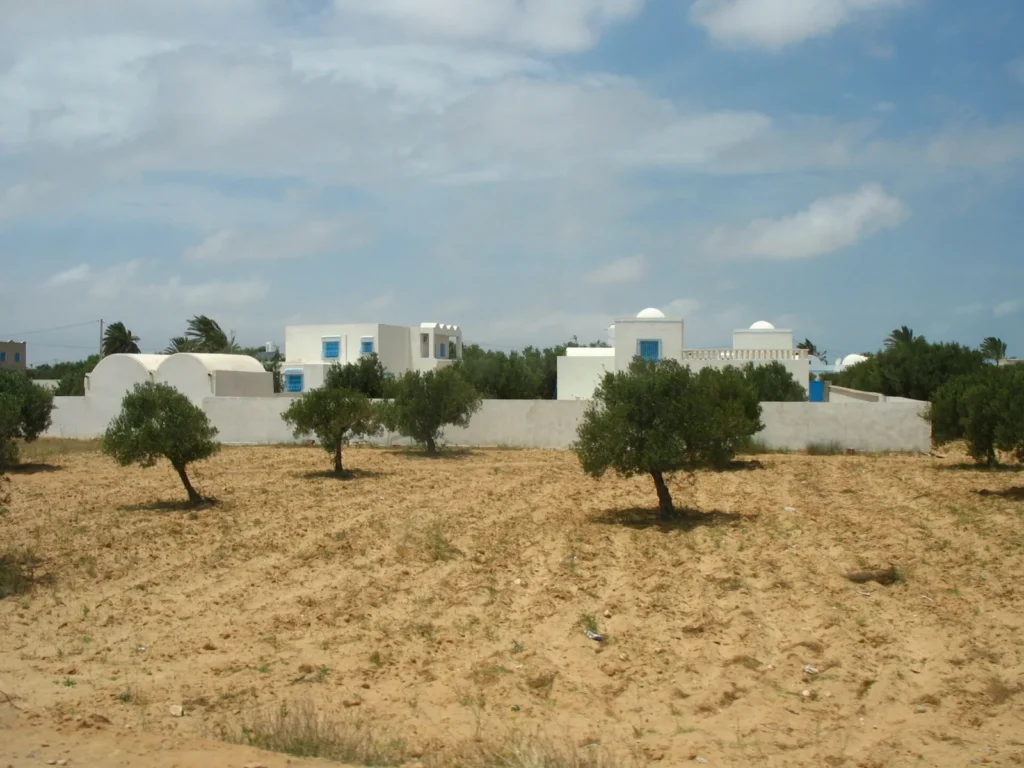 Logement à Djerba — maisons traditionnelles djerbienns et champs agricoles