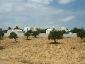 Logement à Djerba — maisons traditionnelles djerbienns et champs agricoles