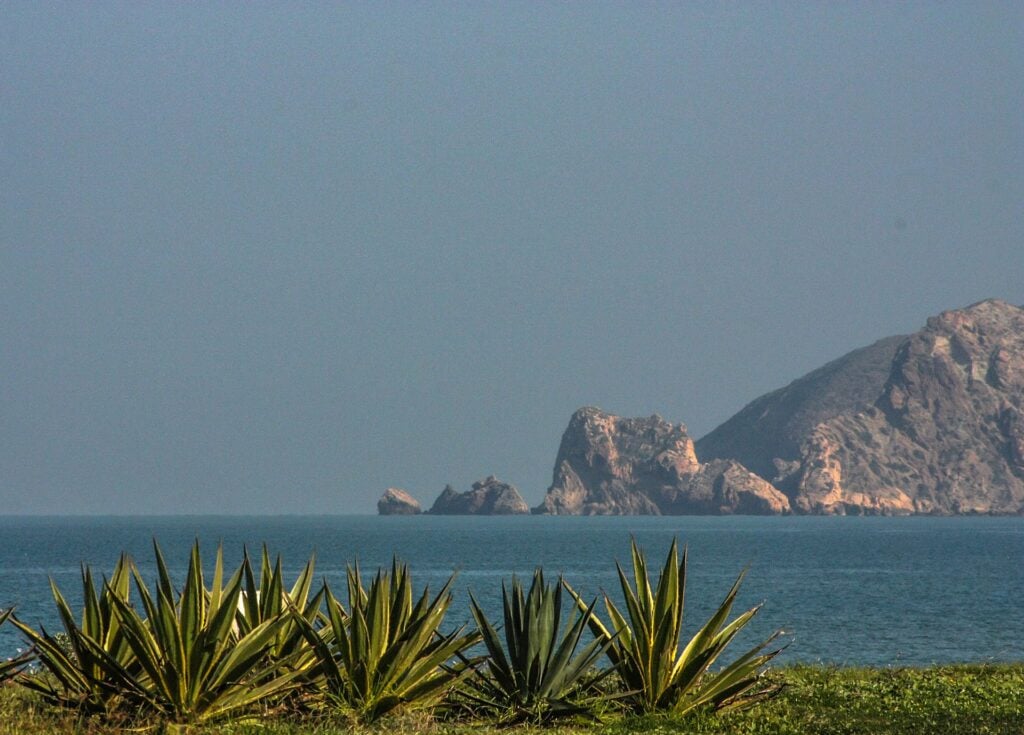 Plage de Saidia sur la côte méditerranéenne du Maroc — mer turquoise, cactus en premier plan