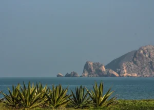 Plage de Saidia sur la côte méditerranéenne du Maroc — mer turquoise, cactus en premier plan