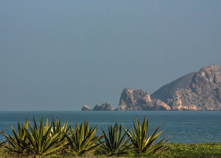 Plage de Saidia sur la côte méditerranéenne du Maroc — mer turquoise, cactus en premier plan