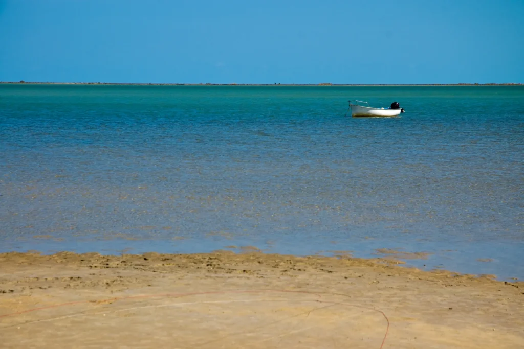 Meteo a Djerba a dicembre: spiaggia di sabbia fine e mare turchese calmo sotto un cielo limpido