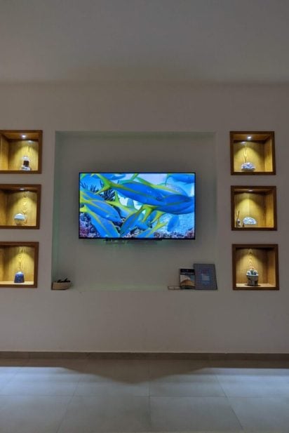 PXL_20220603_224411009